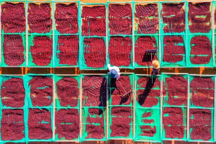 Är ghd Gold bättre än billigare plattångar?